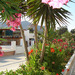 Irene Pension Ios Cyclades